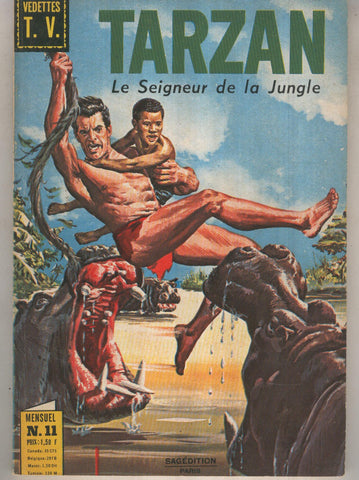 TARZAN Le Seigneur de la Jungle 11: La valle du sepulcre