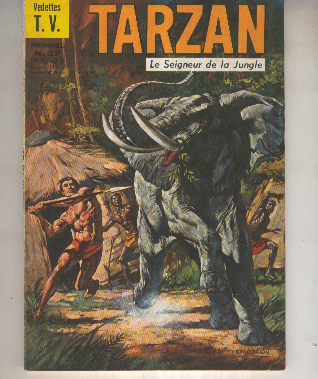 TARZAN Le Seigneur de la Jungle 37: La reine sorciere