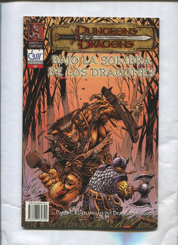 Dungeon Dragons: Bajo la sombra de los dragones numero 3