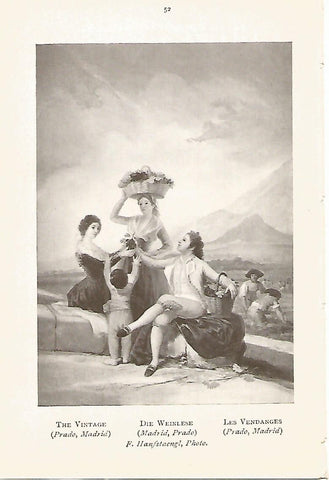 Lamina 700: GOYA. La vendimia