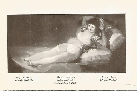 Lamina 701: GOYA. La maja vestida