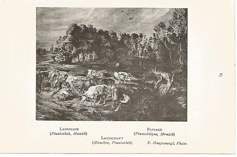 Lamina 720: RUBENS. Paisaje