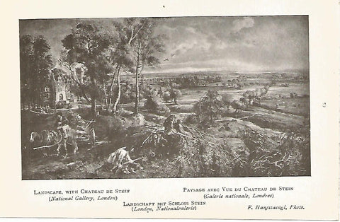 Lamina 736: RUBENS. Paisaje con el castillo de Stein