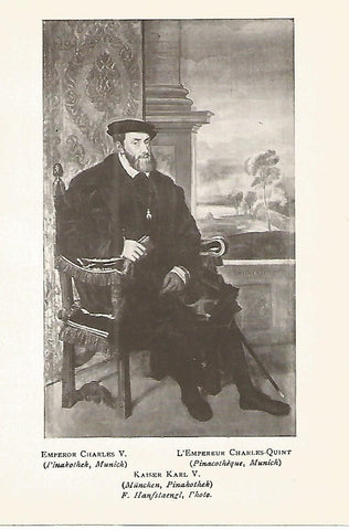 Lamina 805: TIZIANO. El emperador Carlos V