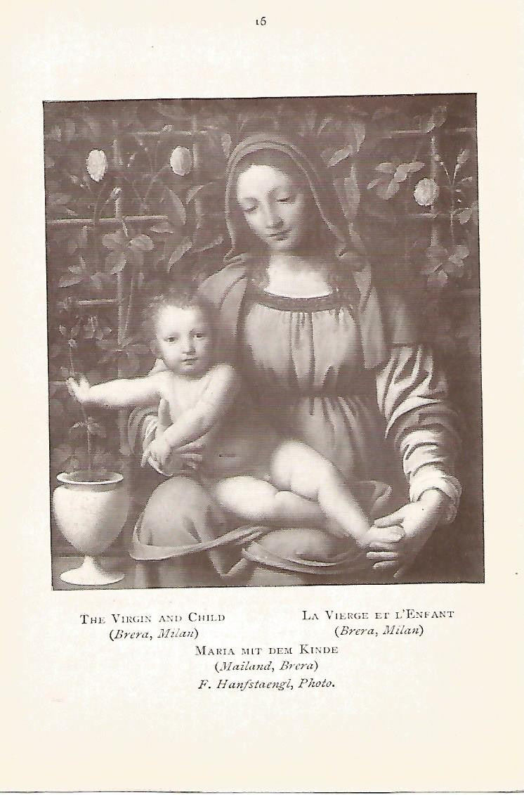 Lamina 839: LUINI. La Virgen y el Niño
