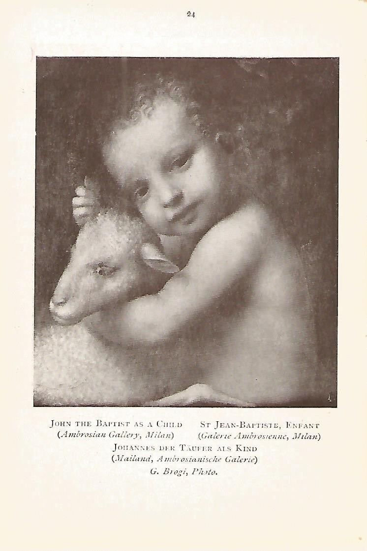 Lamina 843: LUINI. Juan el Bautista de niño