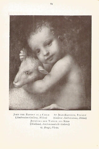 Lamina 843: LUINI. Juan el Bautista de niño