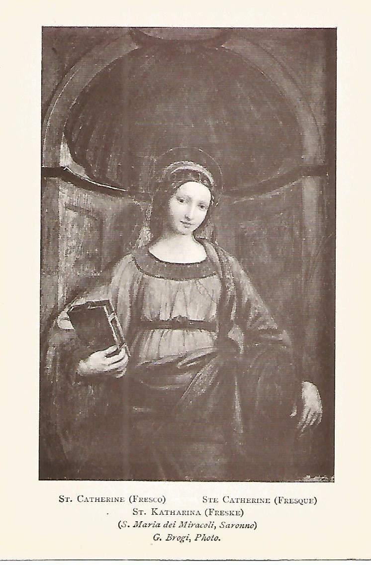 Lamina 858: LUINI. Santa Catalina