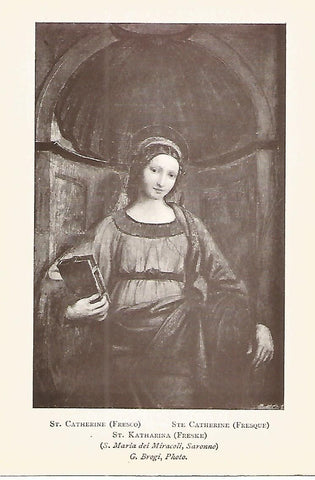 Lamina 858: LUINI. Santa Catalina
