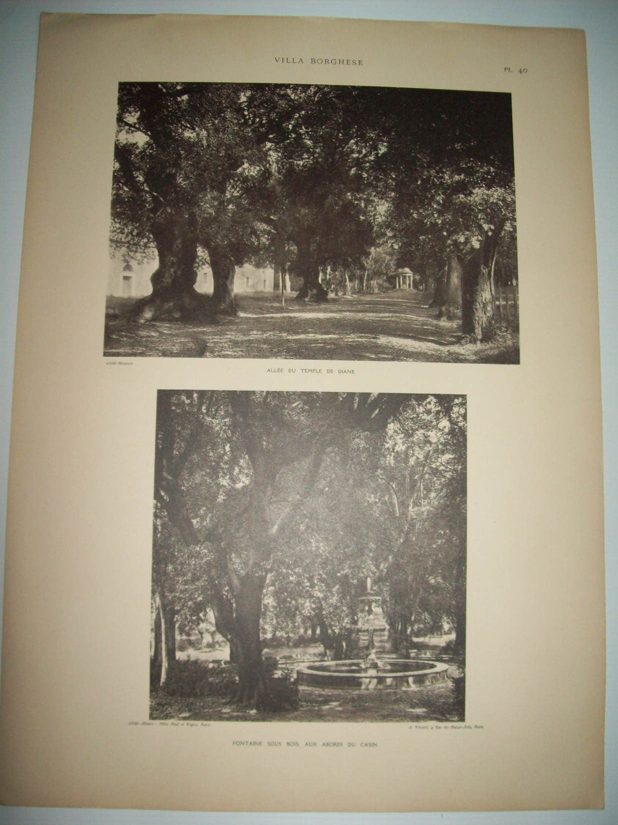 Lamina 1160: VILLA BORGHESE. ALLEE DU TEMPLE DE DIANE