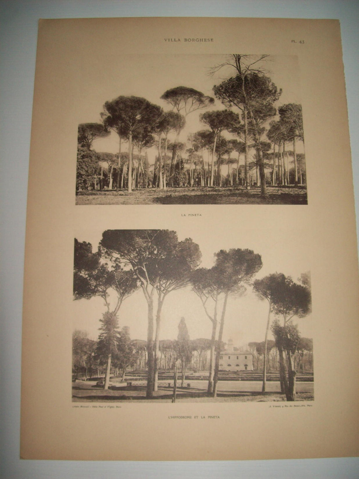 Lamina 1163: VILLA BORGHESE. LA PINETA