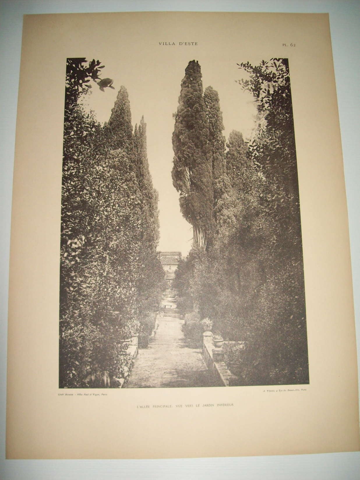 Lamina 1182: VILLA DESTE (TIVOLI). LALLEE PRINCIPALE