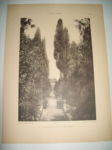 Lamina 1182: VILLA DESTE (TIVOLI). LALLEE PRINCIPALE