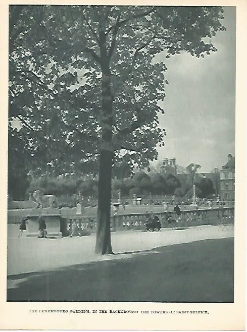 LAMINA 1773: PARIS. Jardines de Luxemburgo