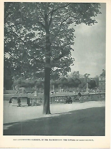 LAMINA 1773: PARIS. Jardines de Luxemburgo