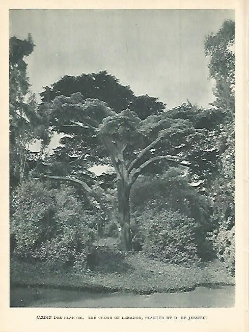 LAMINA 1820: PARIS. Jardin de las Plantas