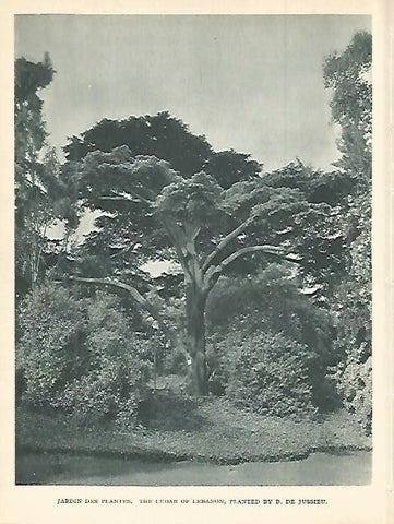 LAMINA 1820: PARIS. Jardin de las Plantas