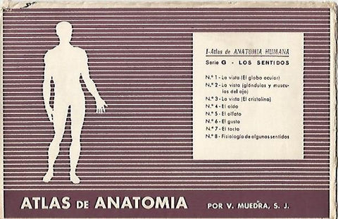 LAMINA 2167: Sobre Serie G. Los sentidos