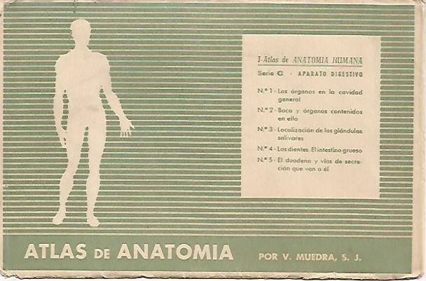 LAMINA 2168: Sobre Serie C. Aparato digestivo