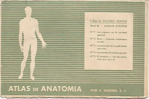 LAMINA 2168: Sobre Serie C. Aparato digestivo