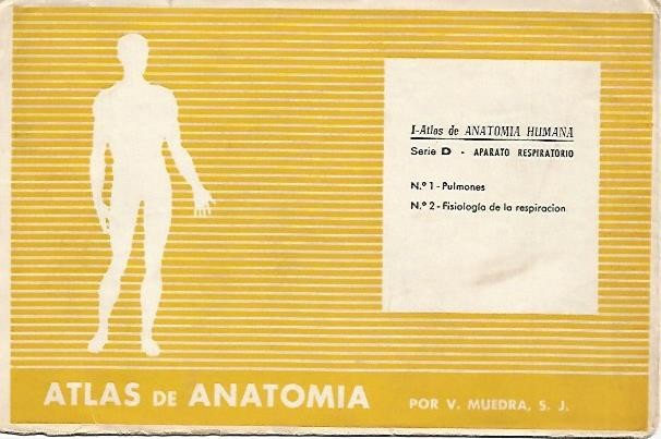 LAMINA 2169: Sobre Serie D. Aparato respiratorio