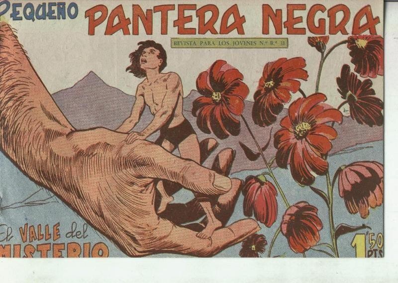 Pequeño Pantera Negra numero 150: El valle del misterio