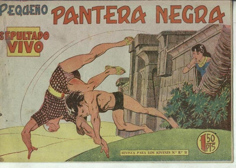 Pequeño Pantera Negra numero 163: Sepultado vivo