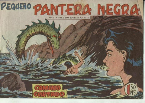 Pequeño Pantera Negra numero 181: Camino cortado