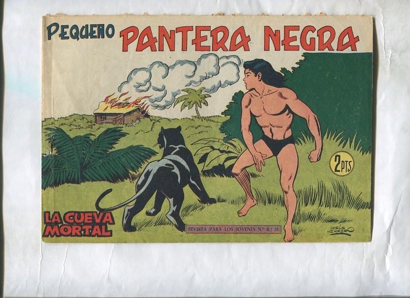 Pequeño Pantera Negra numero 193: la cueva mortal