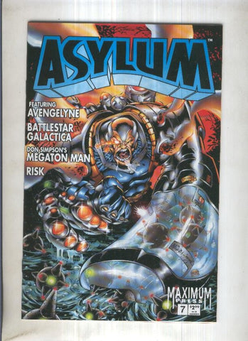 ASYLUM, Vol.1 No.07: RISK (Maximum Press 1995)