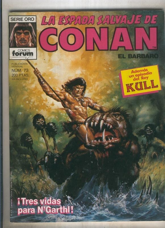 La espada salvaje de conan volumen 1 numero 073