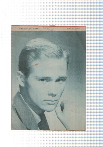 Mary Noticias numero 079: trasera foto artista Brandon de Wilde