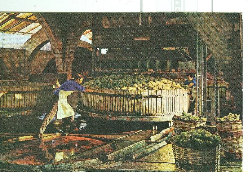Postal 6314 : Cava Cordorniu, prensado de la uva