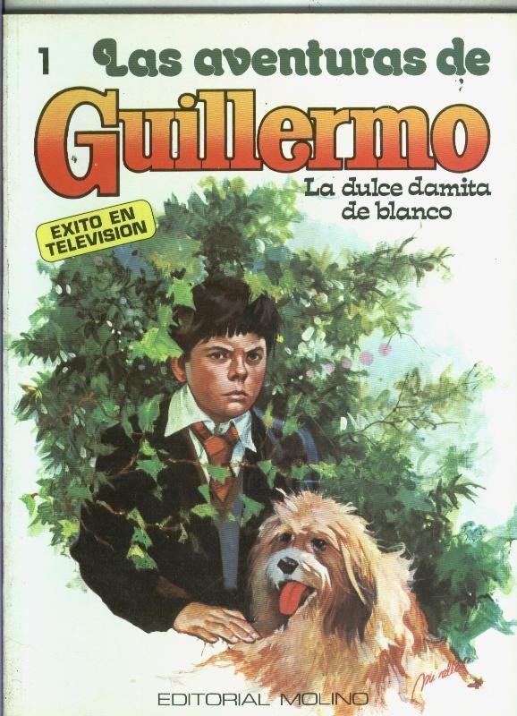 Las aventuras de Guillermo volumen 1