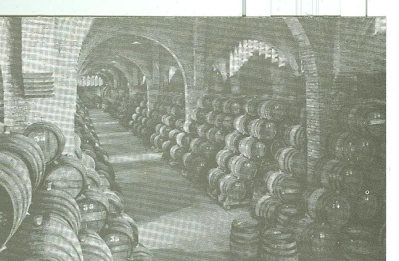 Postal 6328 : Casa Codorniu modelo numero 05
