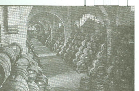 Postal 6328 : Casa Codorniu modelo numero 05