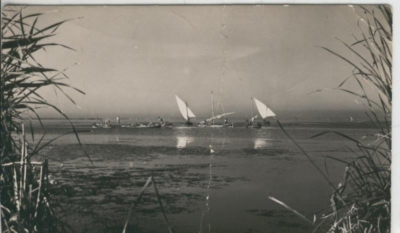 Postal 008912: La Albufera de Valencia