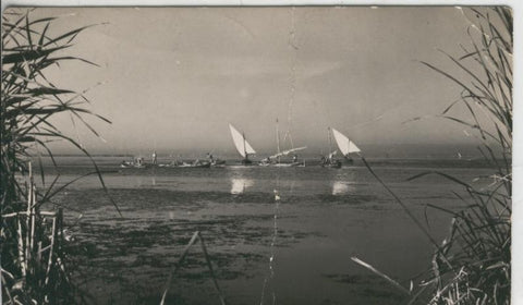 Postal 008912: La Albufera de Valencia