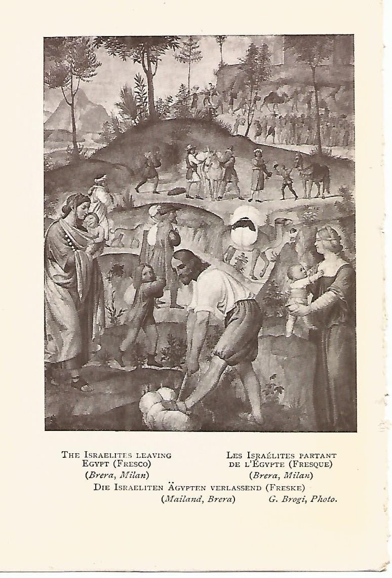 Lamina 833: LUINI. 