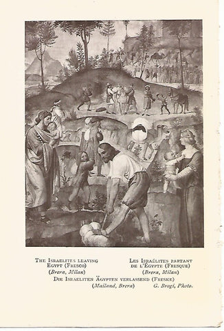 Lamina 833: LUINI. 