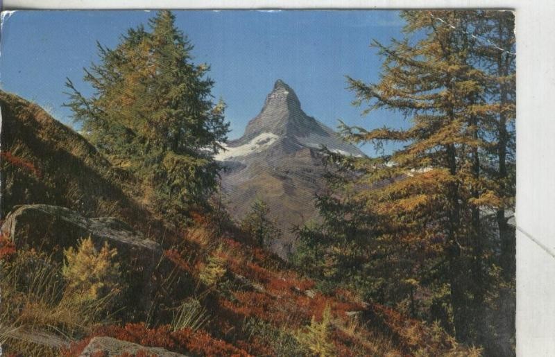 Postal:  Suiza