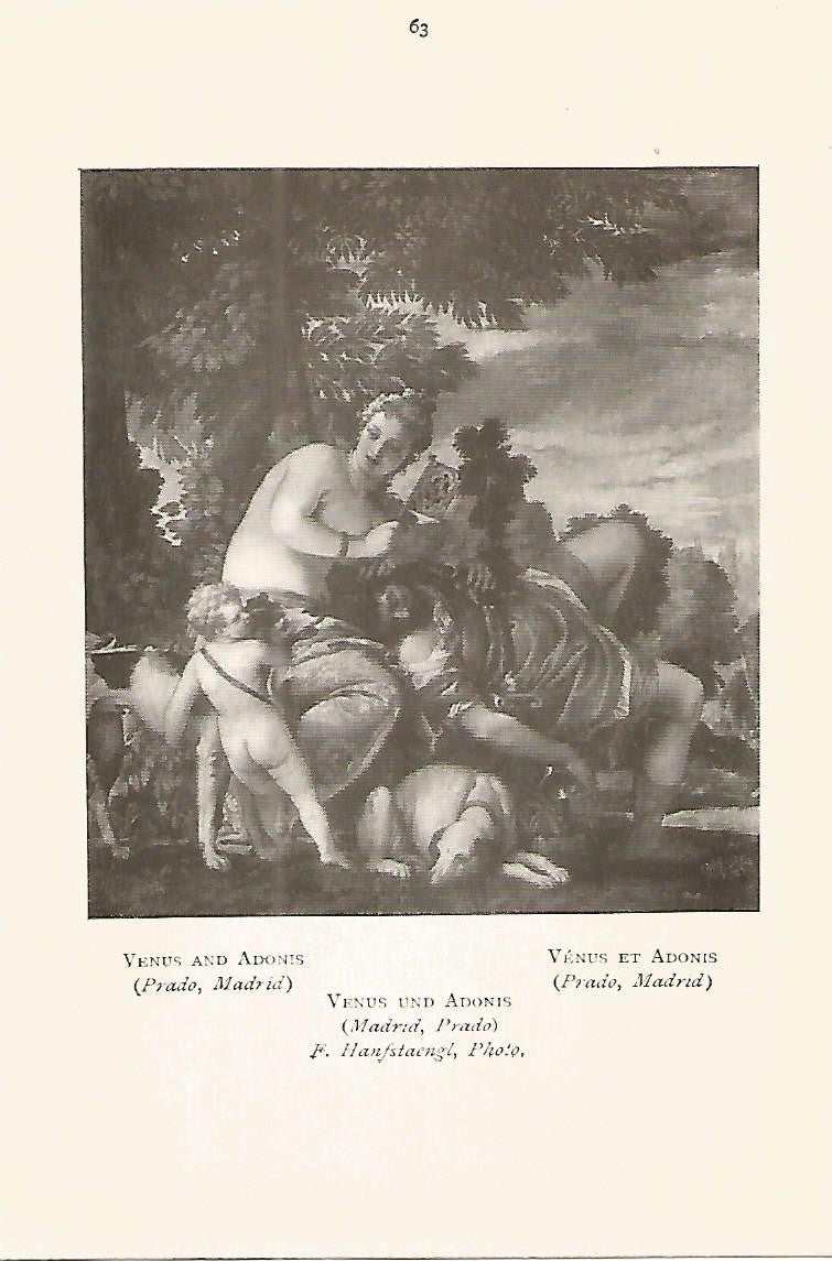 Lamina 493: VERONESE. Venus y Adonis