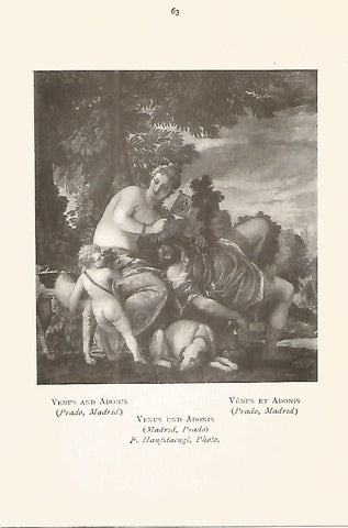 Lamina 493: VERONESE. Venus y Adonis