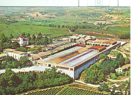 Postal 6303 : Cava Codorniu, vista general
