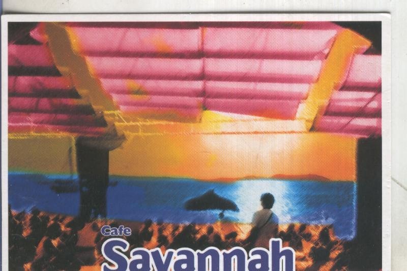 Postal 5493 : Propaganda de Cafe Savannah beach club de Ibiza