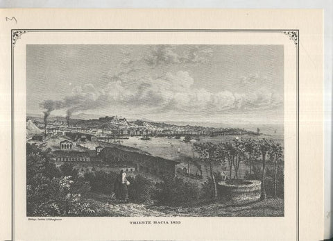 Lamina 03: Trieste hacia 1855