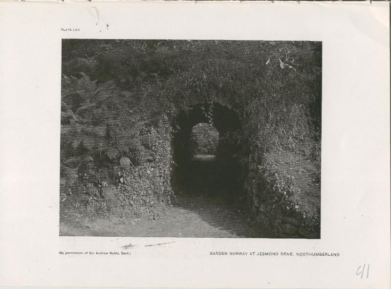 Jardines ingleses lamina 41: Garden Subway at Jesmond Dene, Northumberland