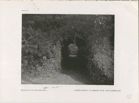 Jardines ingleses lamina 41: Garden Subway at Jesmond Dene, Northumberland