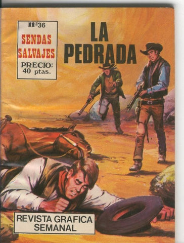 Sendas Salvajes numero 36: la pedrada