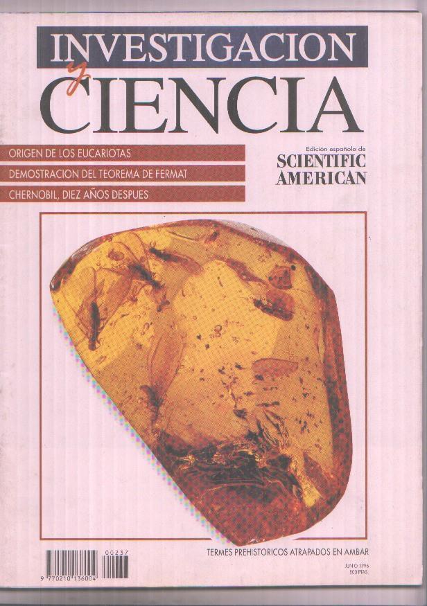 Investigacion y Ciencia numero 237: Chernobil, diez años despues
